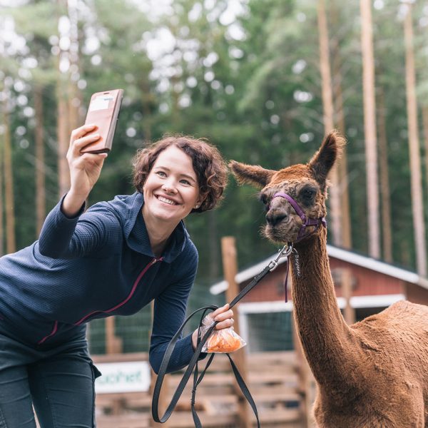 puuhapuisto_veijari_elamyspaketit